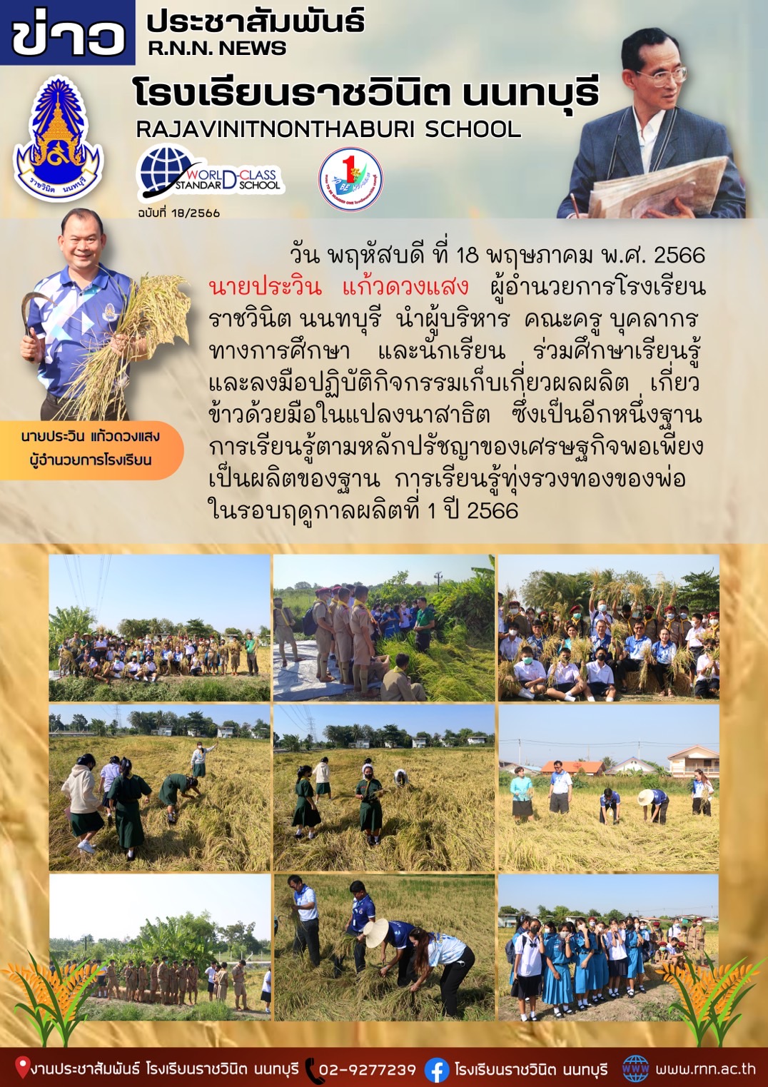 กิจกรรมเก็บเกี่ยวผลผลิต ณ แปลงนาสาธิต
